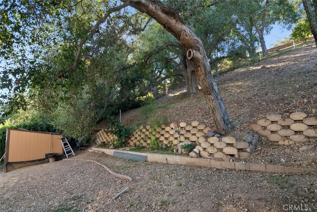 4561 Alveo Property Photo 32