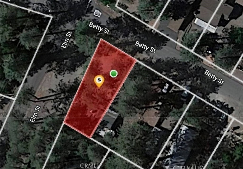 1 Betty Property Photo 1