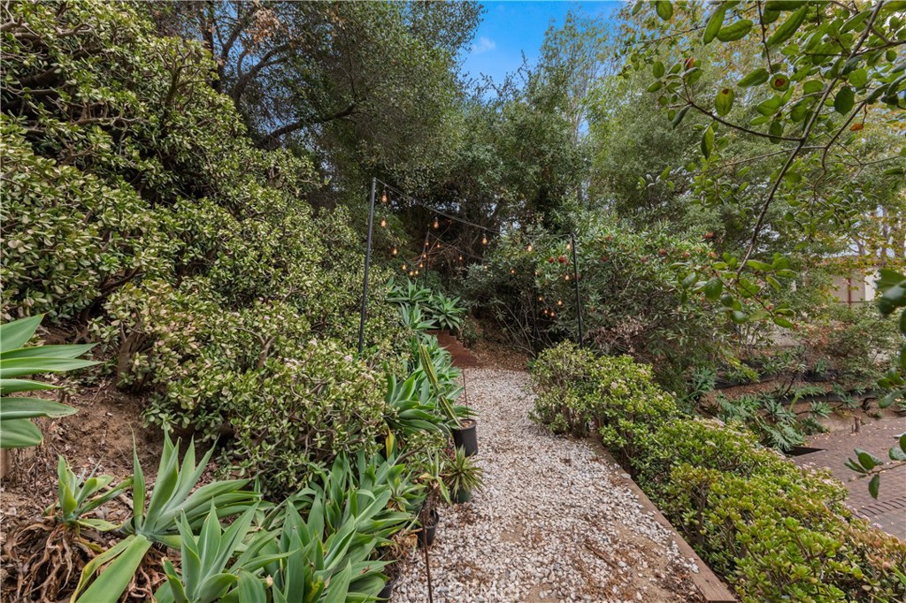 3858 Roble Vista Drive Property Photo 24