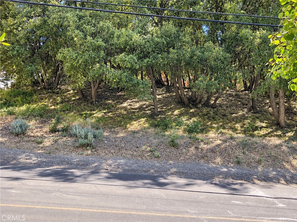 2117 Alder Court Property Photo 4