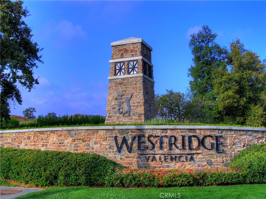 26584 Oak Terrace Place Property Photo 30