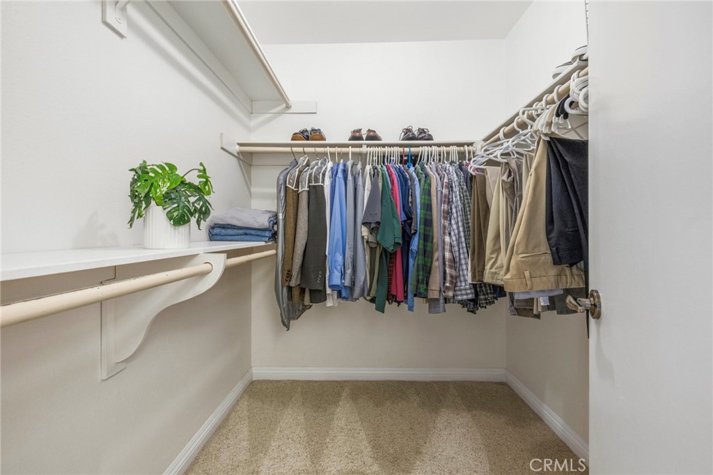 28166 Ebb Court Property Photo 26