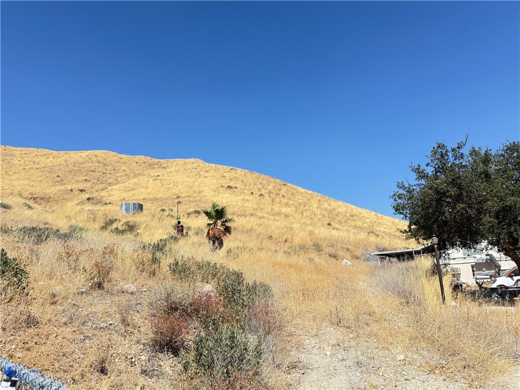 11561 Soledad Canyon Property Photo 4