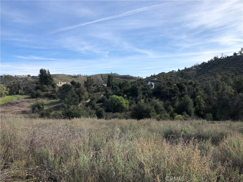 0 Calle Capistrano Property Photo 10