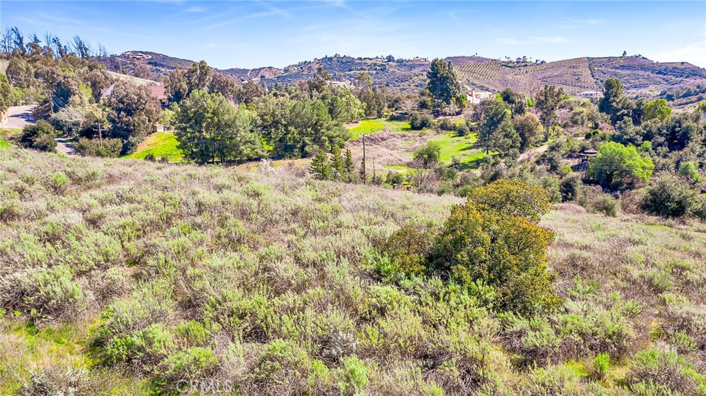 0 Calle Capistrano Property Photo 11