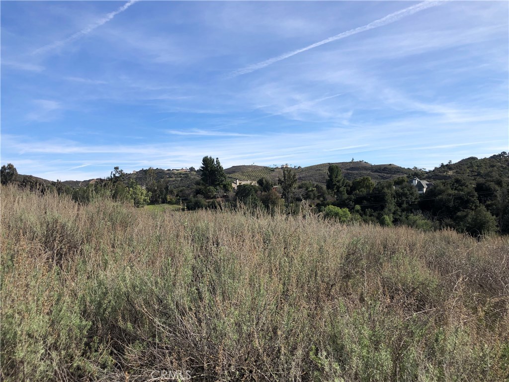 0 Calle Capistrano Property Photo 12