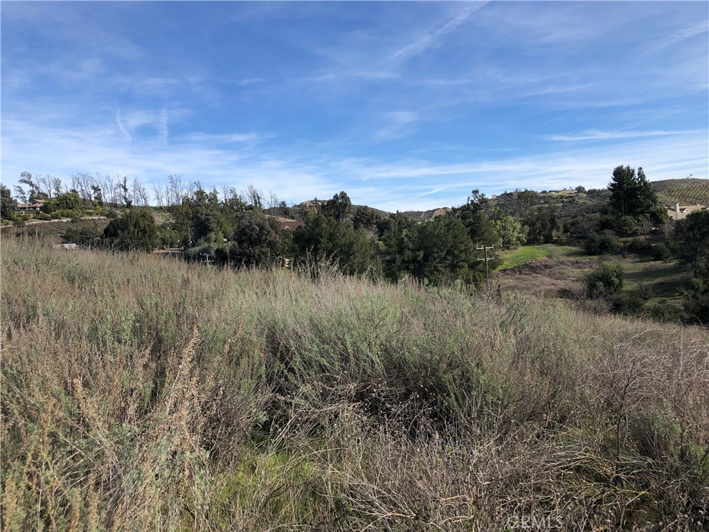 0 Calle Capistrano Property Photo 13