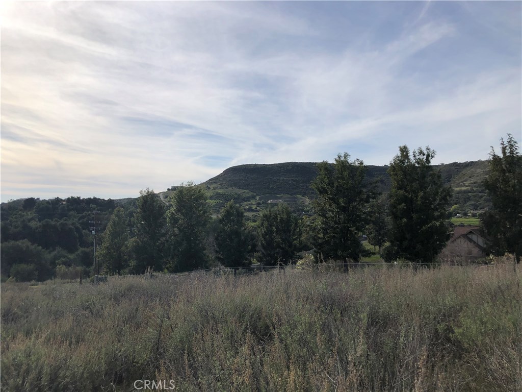 0 Calle Capistrano Property Photo 19