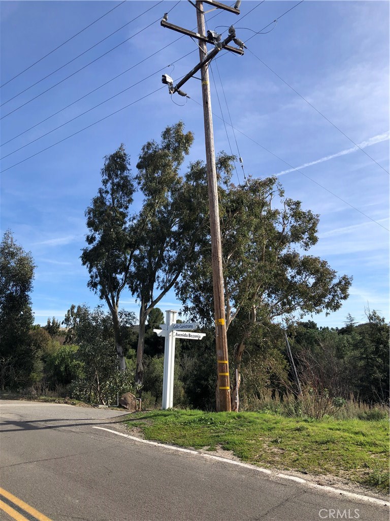 0 Calle Capistrano Property Photo 29