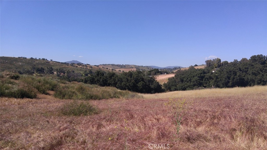 0 Hwy 78 (julian Rd) Property Photo 1