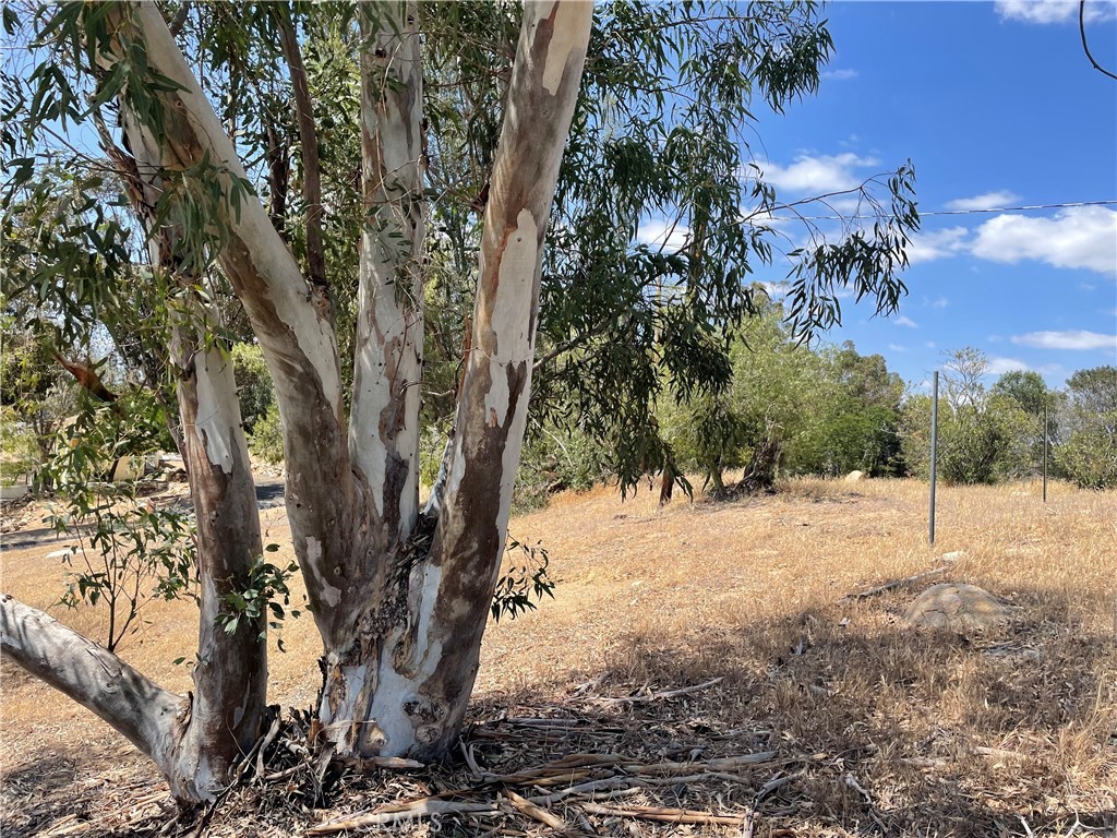 15 Bailey Drive Property Photo 1