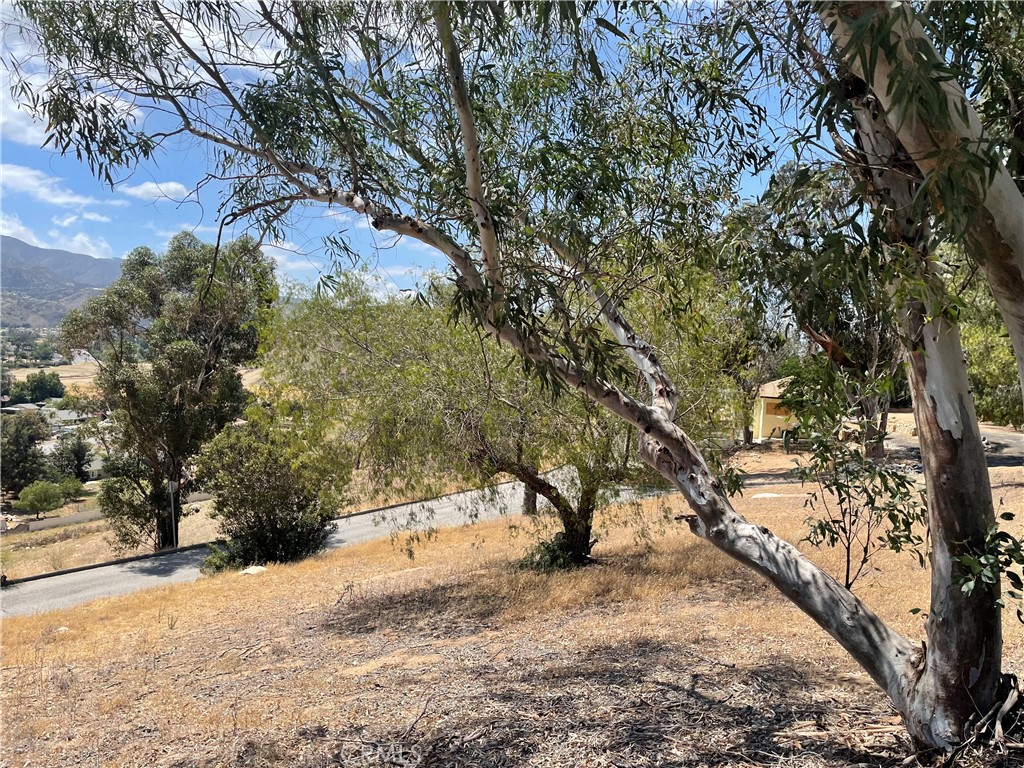 15 Bailey Drive Property Photo 3