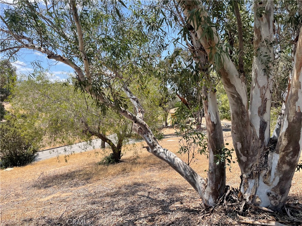 15 Bailey Drive Property Photo 8