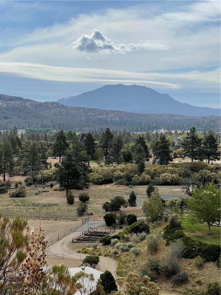 2 Goldshot Creek Road Property Photo 2