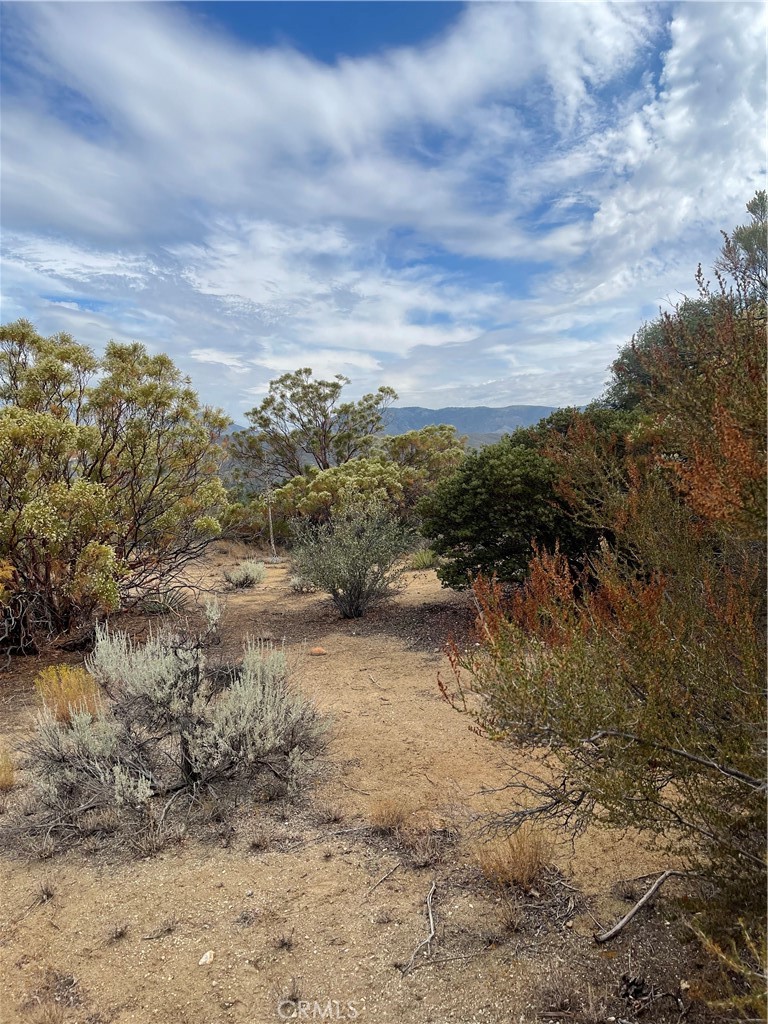 2 Goldshot Creek Road Property Photo 3