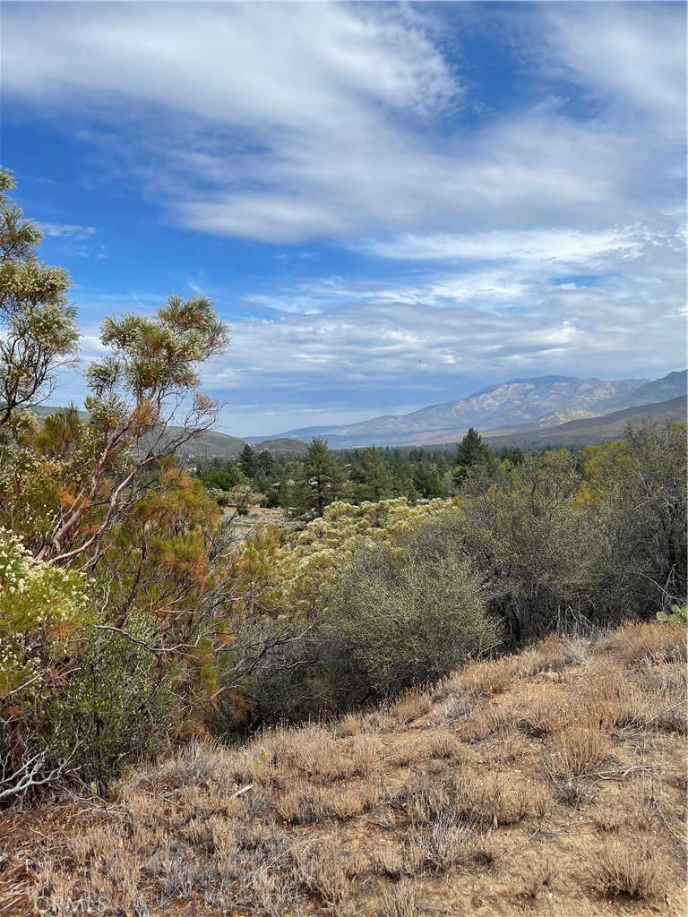 2 Goldshot Creek Road Property Photo 8