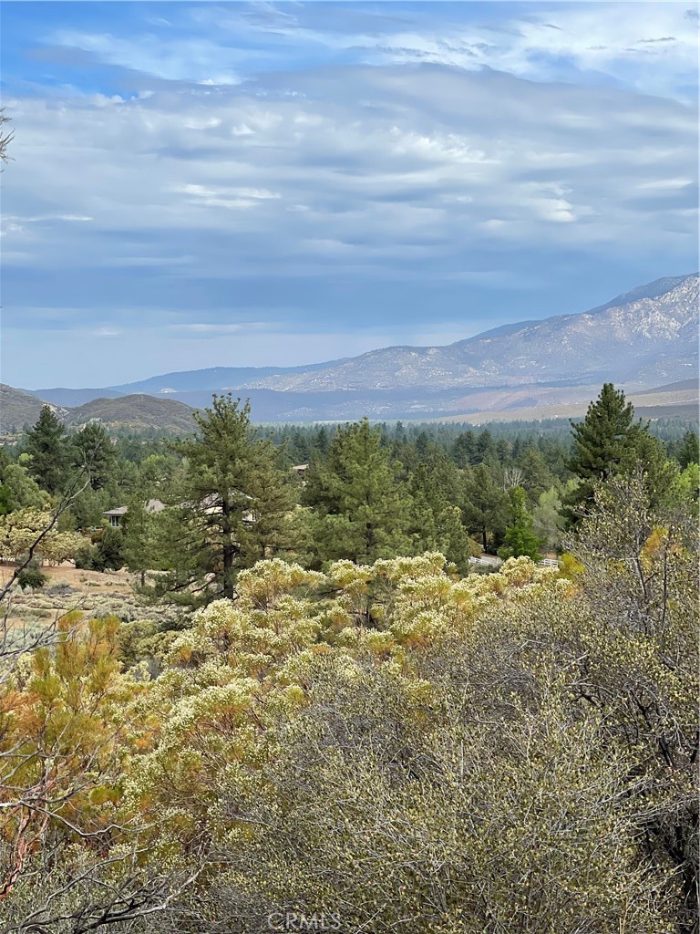 2 Goldshot Creek Road Property Photo 9