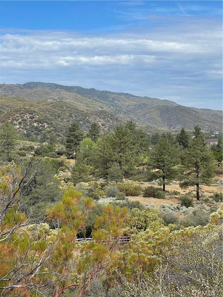 2 Goldshot Creek Road Property Photo 10