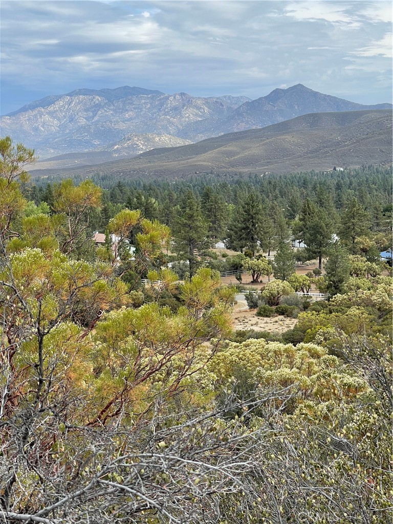 2 Goldshot Creek Road Property Photo 11