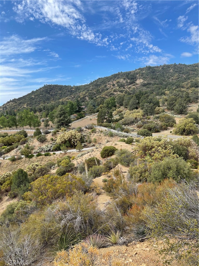 2 Goldshot Creek Road Property Photo 13