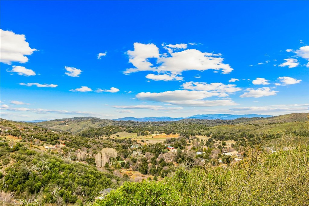 17180 Mile High Road Property Photo 42