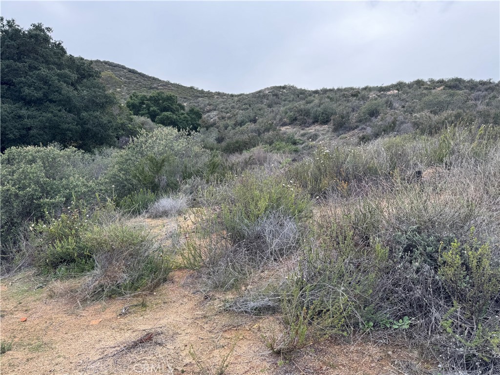 16 Orange Property Photo 1