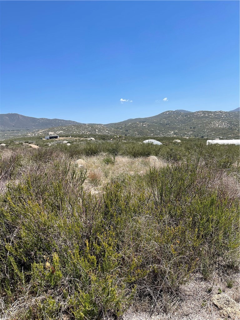 35410 Willow Creek Road Property Photo 7