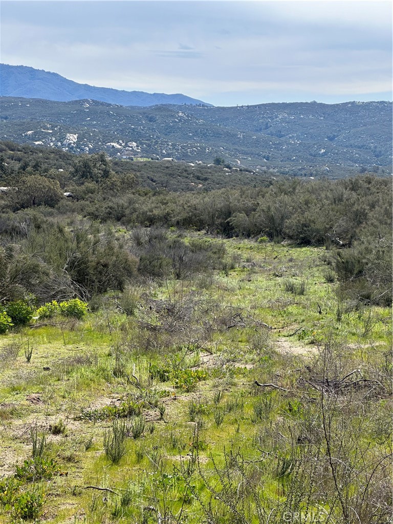 56 Taffel Ranch Road Property Photo 5
