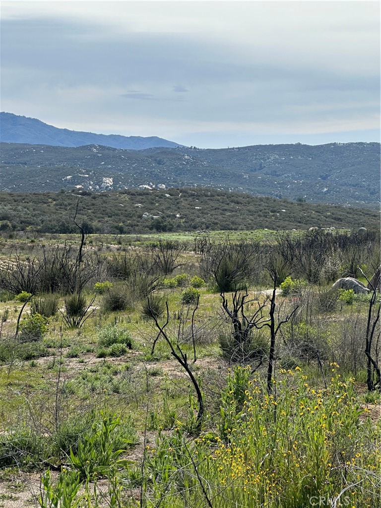 56 Taffel Ranch Road Property Photo 6