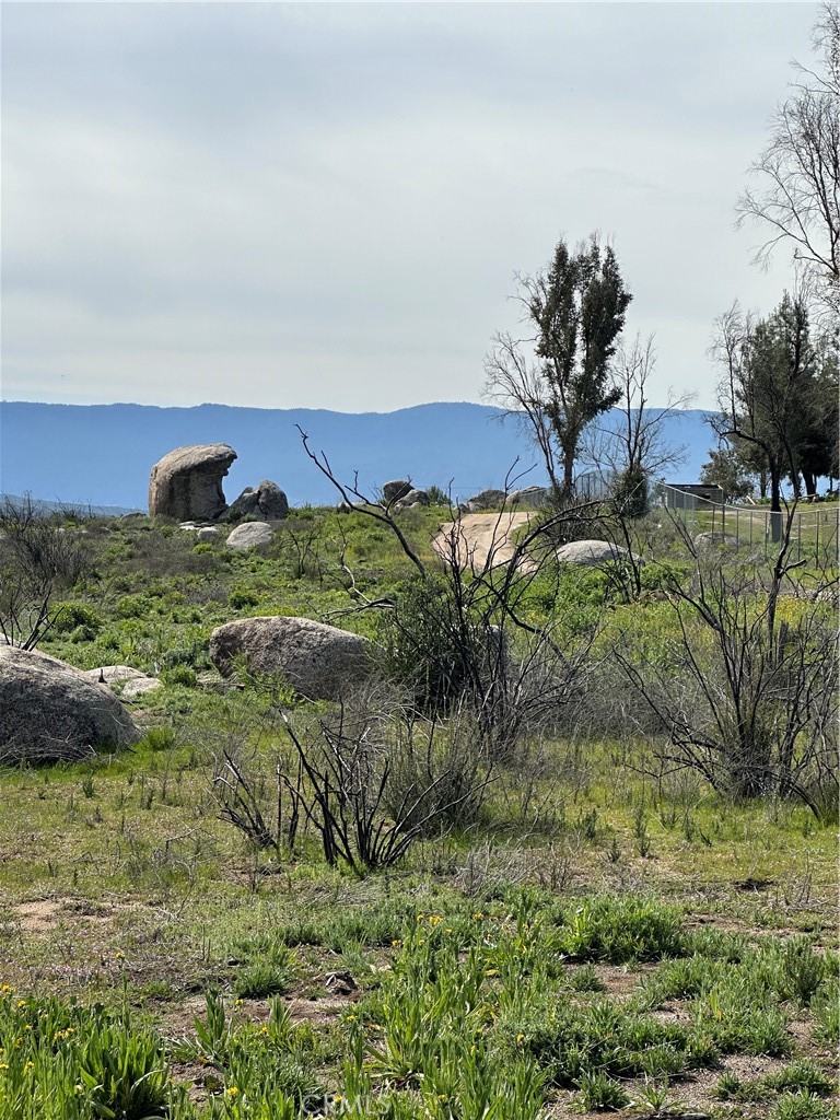 56 Taffel Ranch Road Property Photo 7