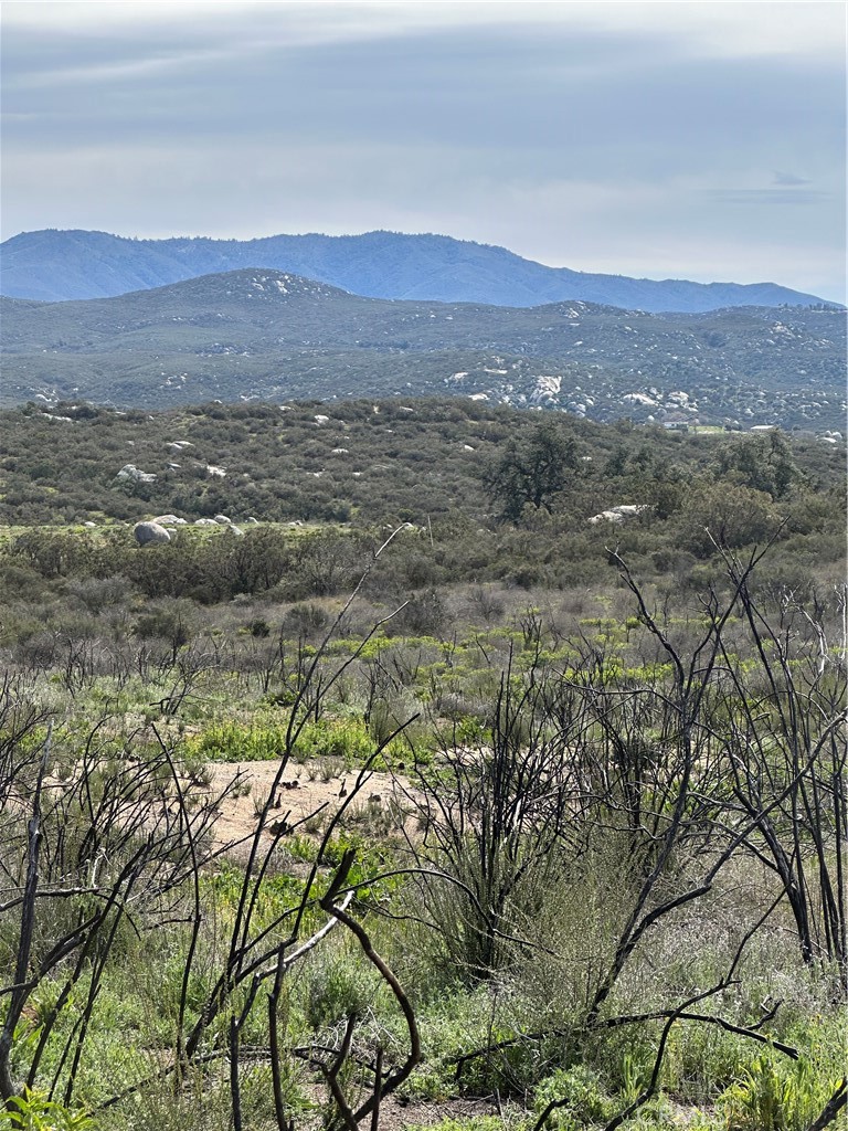 56 Taffel Ranch Road Property Photo 13