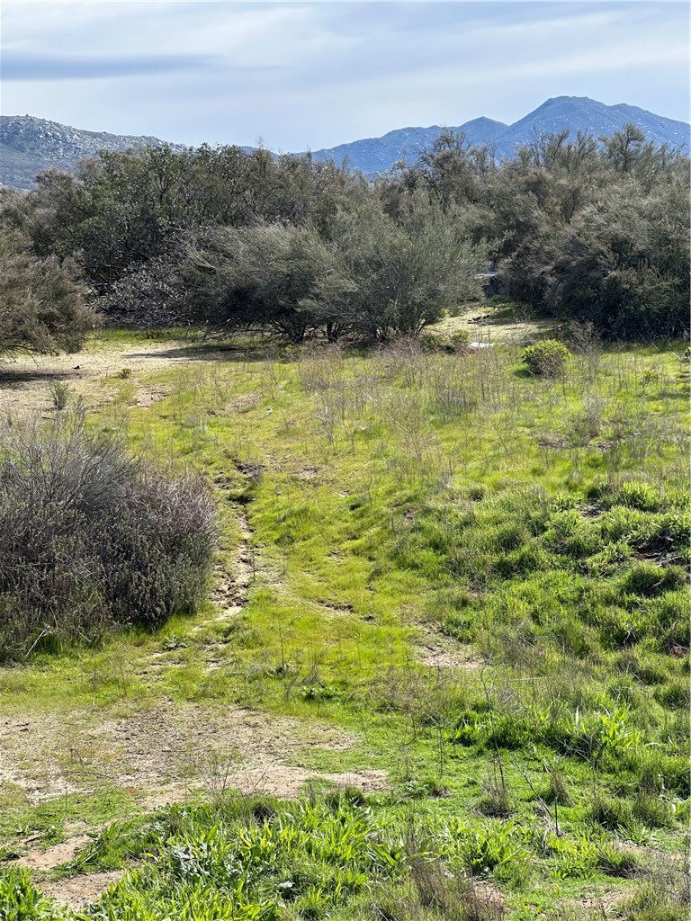 56 Taffel Ranch Road Property Photo 1
