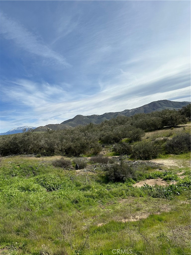 56 Taffel Ranch Road Property Photo 3