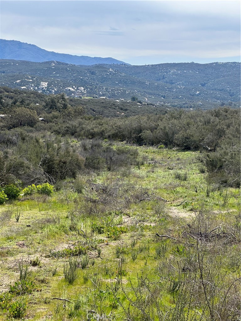 56 Taffel Ranch Road Property Photo 5
