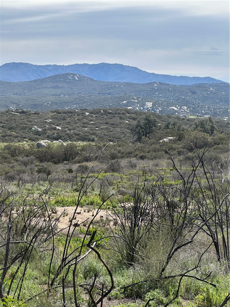 56 Taffel Ranch Road Property Photo 13