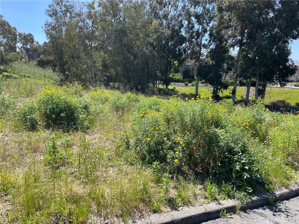 1863 Sunset Drive Property Photo 15
