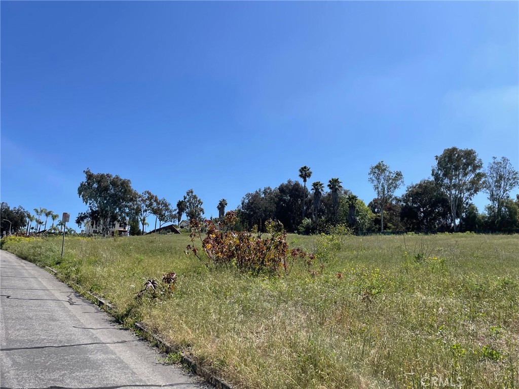 1863 Sunset Drive Property Photo 16