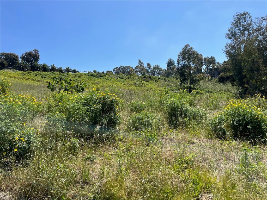 1863 Sunset Drive Property Photo 17