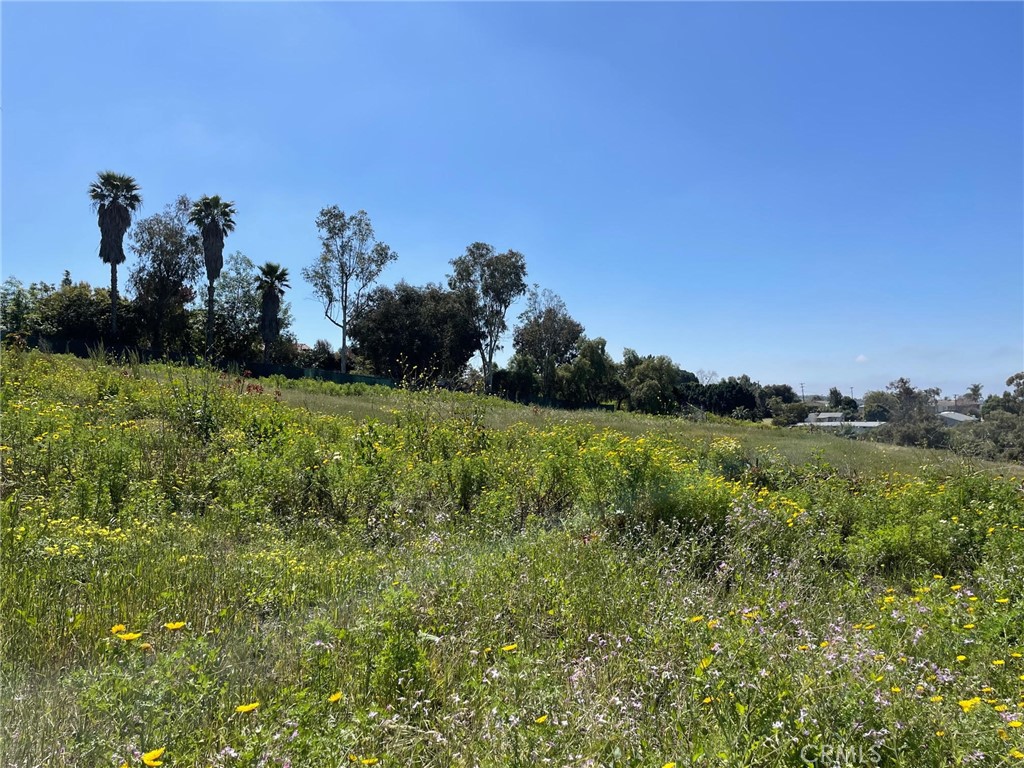 1863 Sunset Drive Property Photo 18