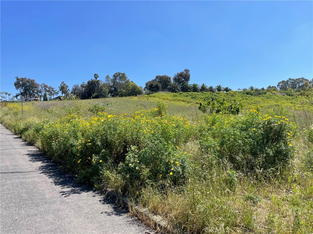 1863 Sunset Drive Property Photo 19