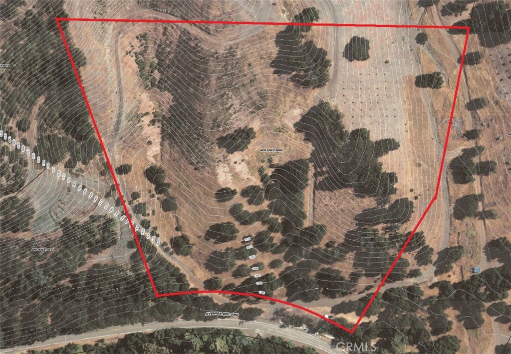 5 Avenida Del Oro Property Photo 2
