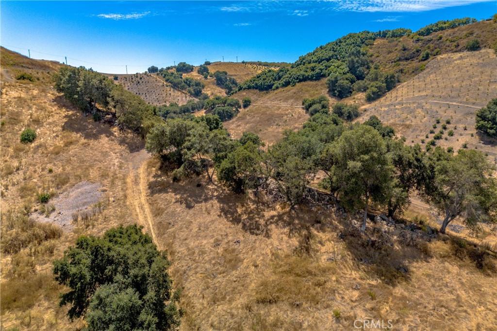 5 Avenida Del Oro Property Photo 5