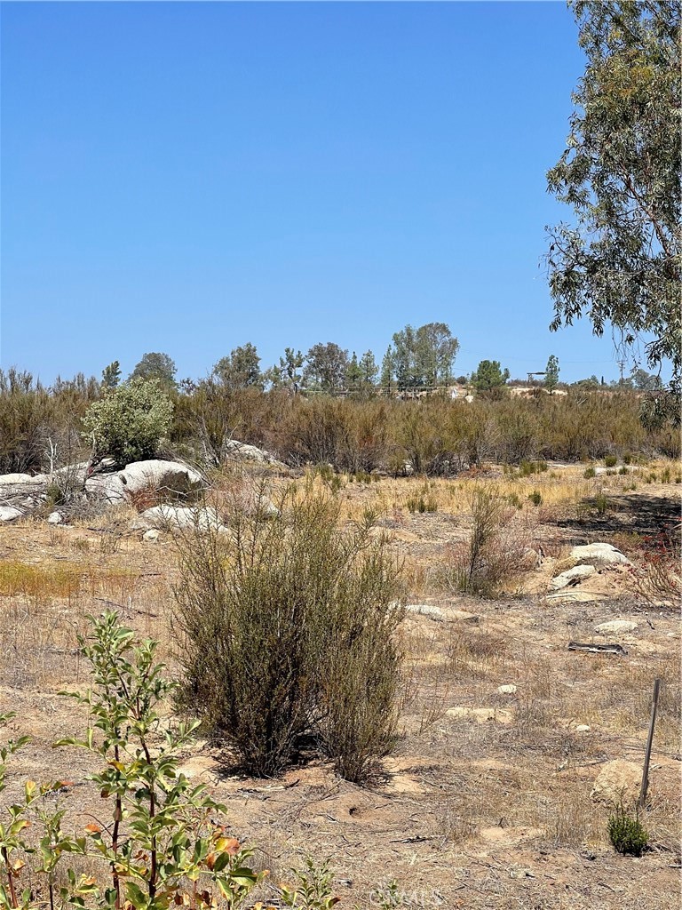 35575 Clothier Road Property Photo 8