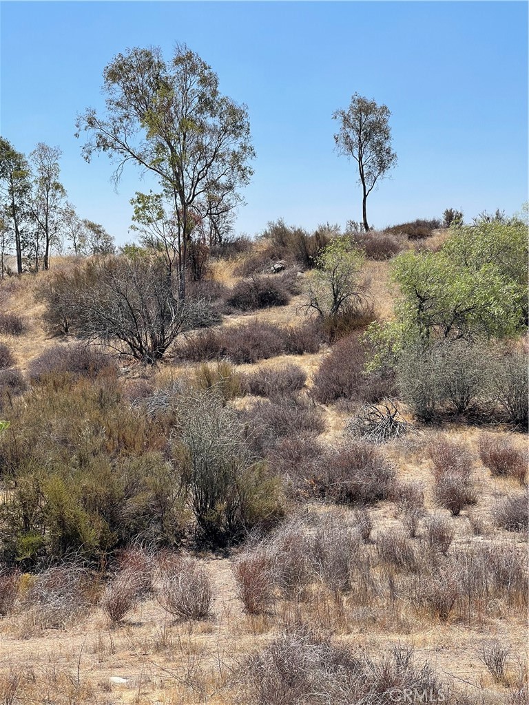35575 Clothier Road Property Photo 10
