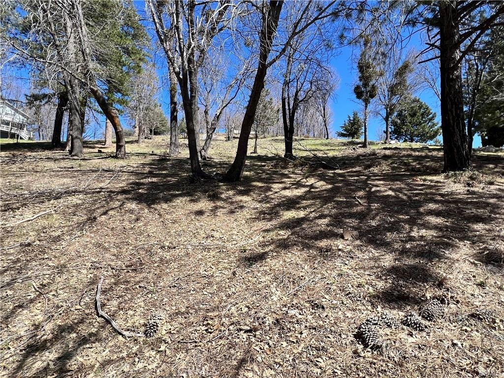41 Fredalba Road Property Photo 1