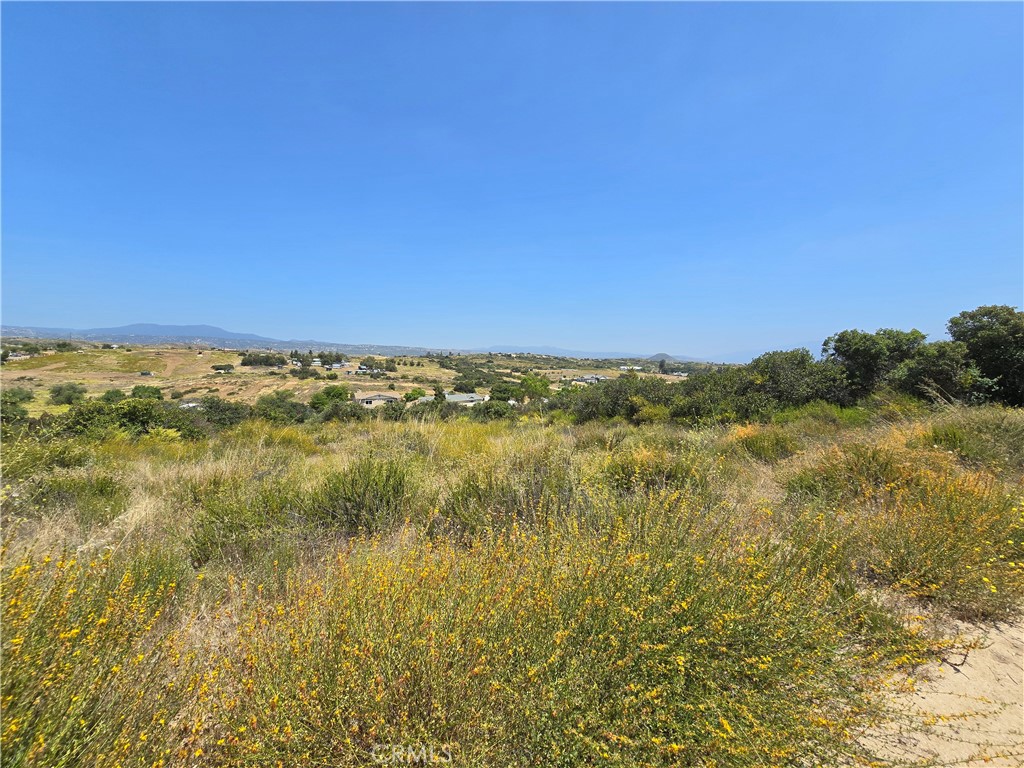 0 Bell Bluff Rd. Property Photo 1