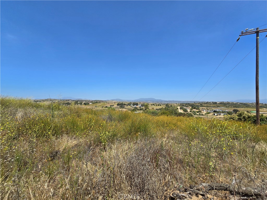 0 Bell Bluff Rd. Property Photo 6