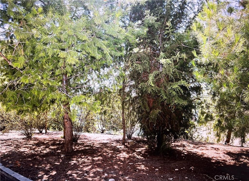 4000 Elderbank Drive Property Photo 3