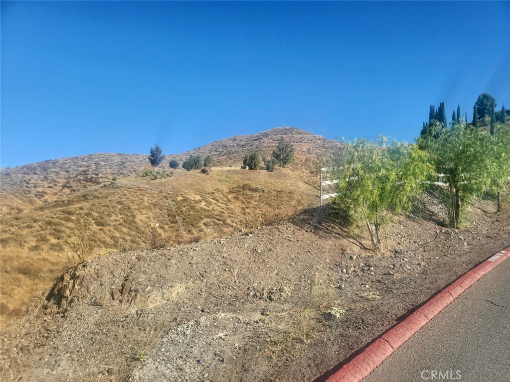 30714 Sorrel Lane Property Photo 2