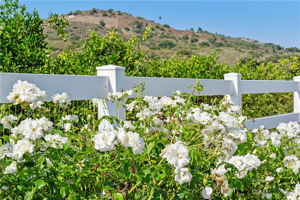 23505 Carancho Road Property Photo 44